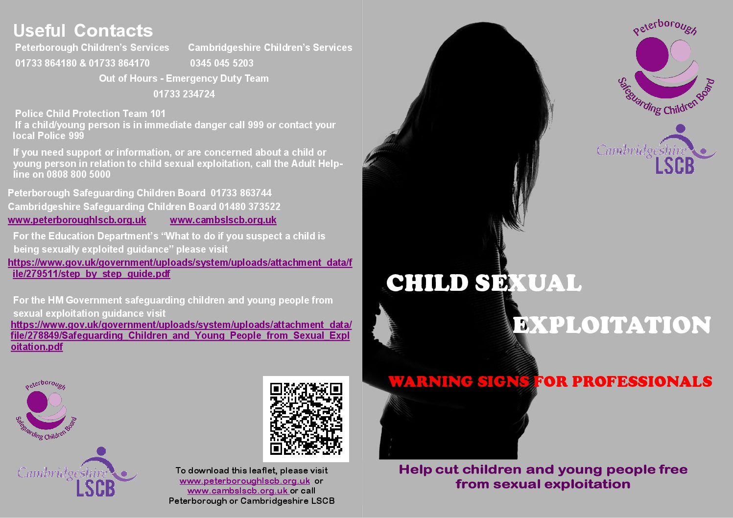 Warning Signs for Professionals Leaflet | Cambridgeshire and ...
