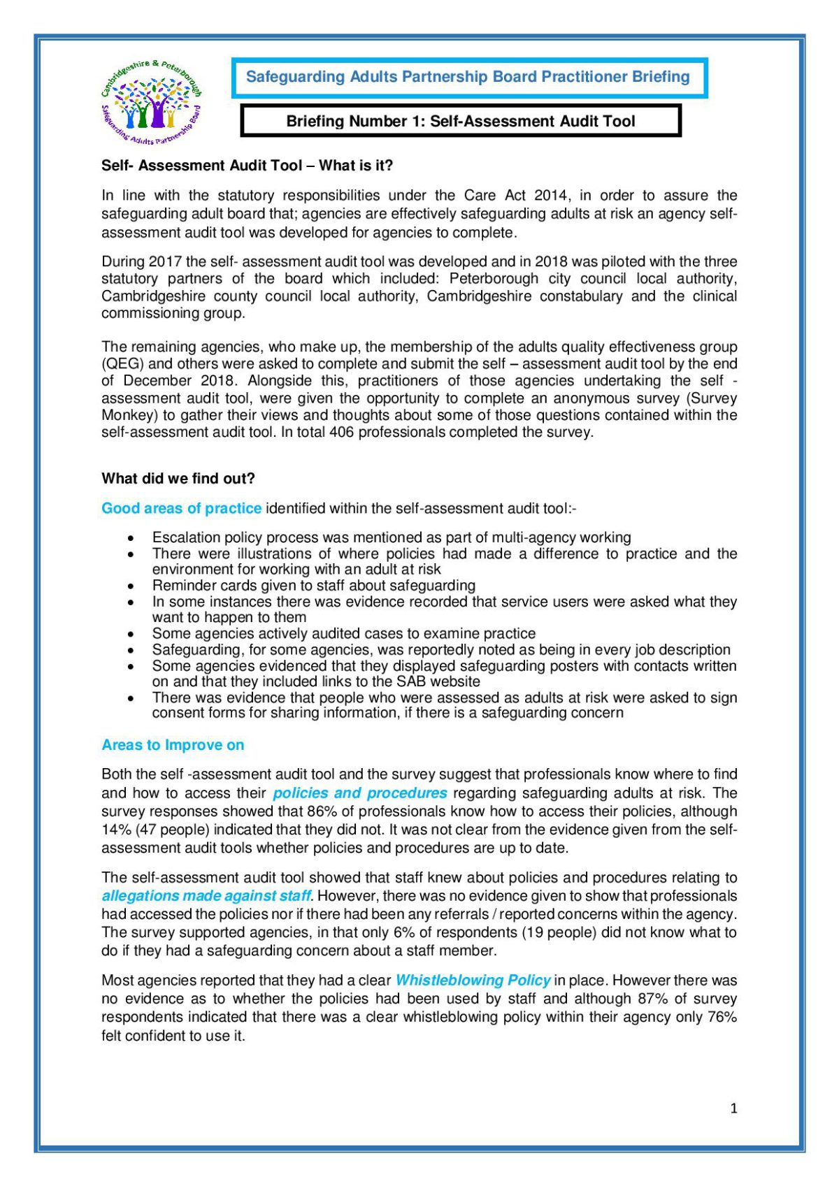 Briefing SelfAssessment Audit Tool Cambridgeshire and Peterborough