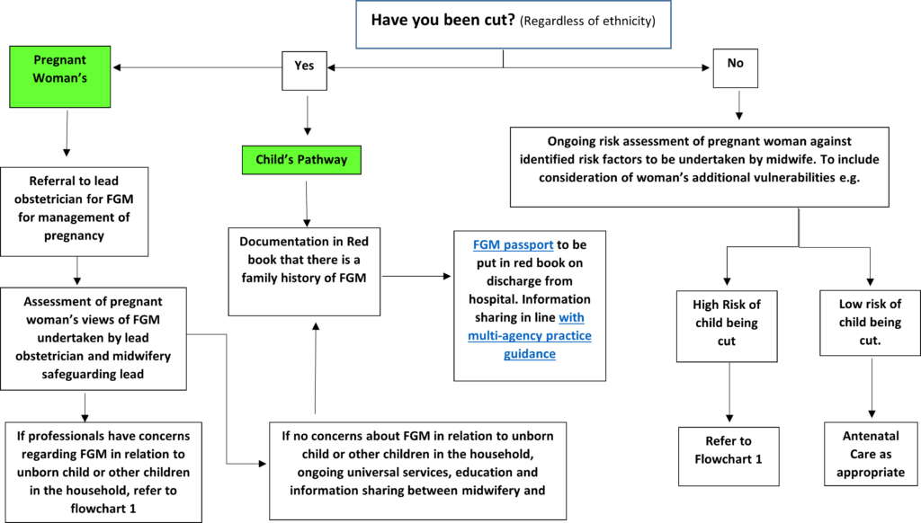 Pathway Management for Pregnant Women at risk of FGM